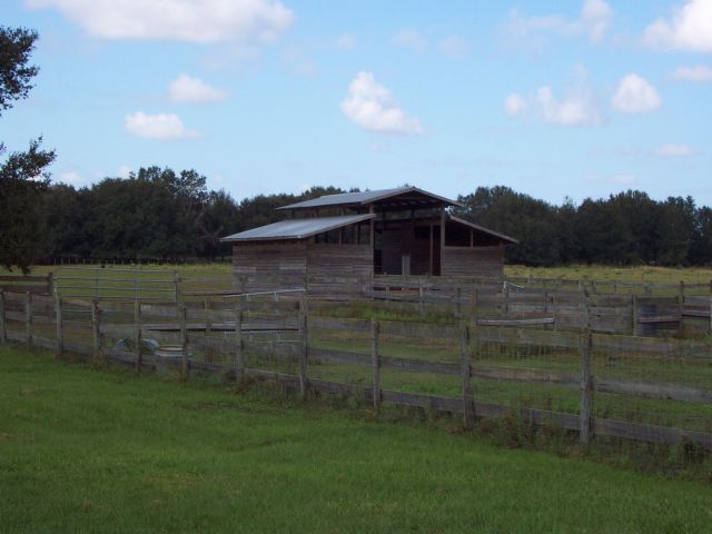 14521 starbright drive  dade city  fl 33525